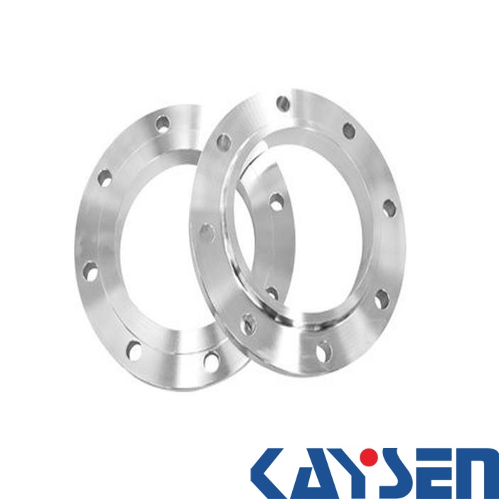 NFE 29203 Flange Type 02 PN10